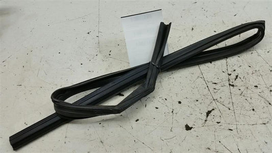 2012 Hyundai Sonata Door Glass Window Seal Rubber Gasket Right Passenger Rear