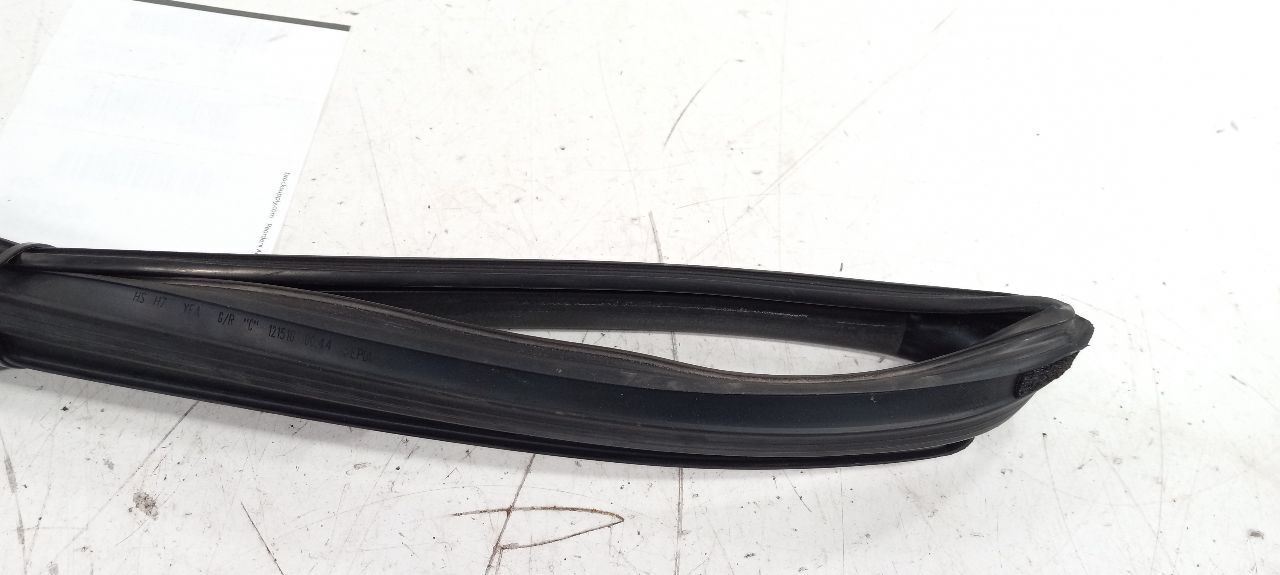 Hyundai Sonata Door Glass Window Seal Rubber Right Passenger Rear Back 2011 2012