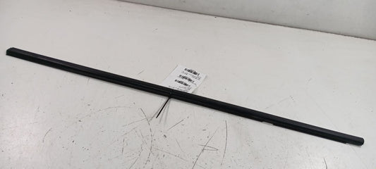 Honda Civic Door Glass Window Weather Strip Trim Front Left Driver 2013 2014 15