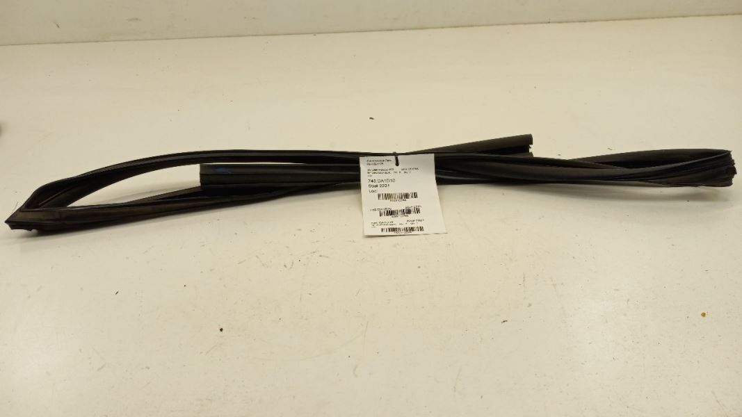 Sentra Door Glass Window Seal Rubber Right Passenger Front 2008 2009 2010 2011