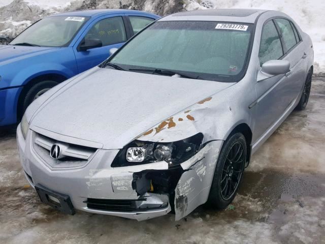 Strut Rear Back  Fits 04-08 ACURA TL