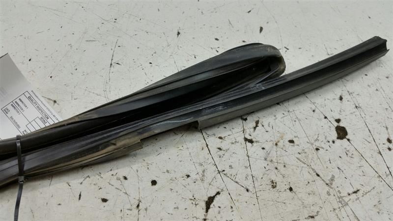 2010 Ford Fusion Door Glass Window Seal Rubber Gasket Right Passenger Rear Back