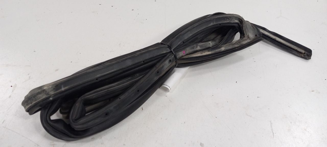 Accent On Door Seal Rubber Left Driver Rear Back 2006 2007 2008 2009 2010 2011