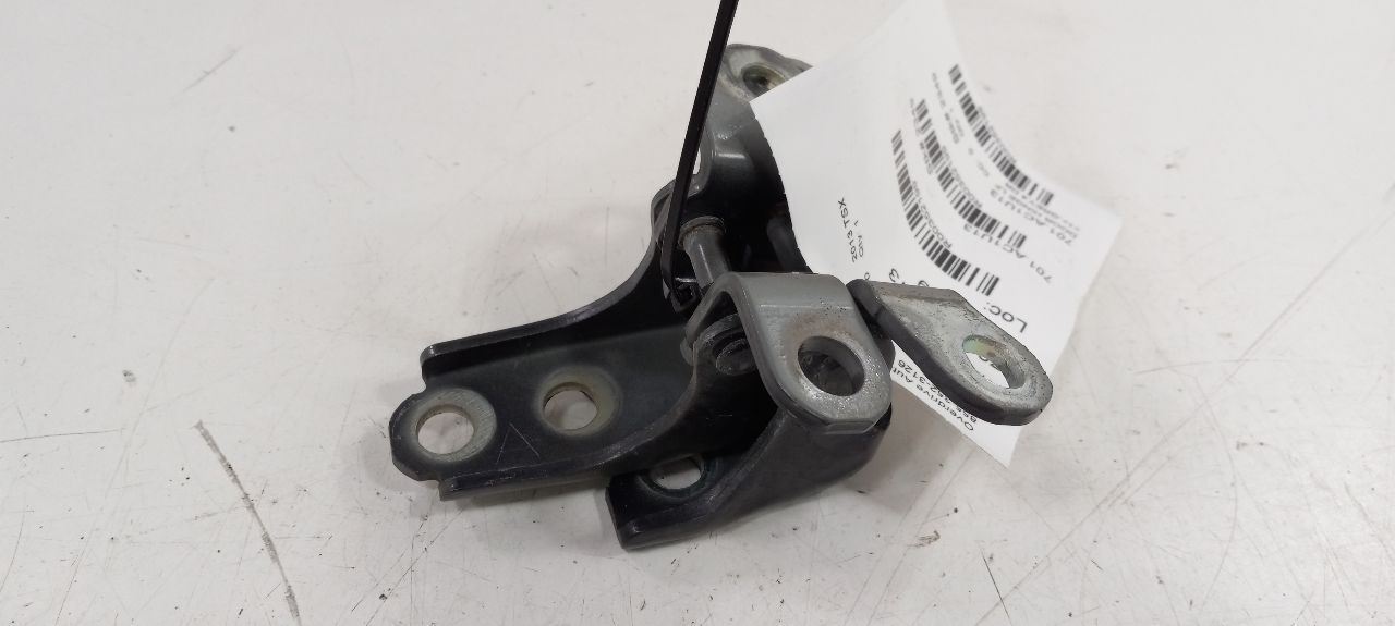 Acura TSX Door Hinge Set Left Front Driver 2014 2013 2012 2011