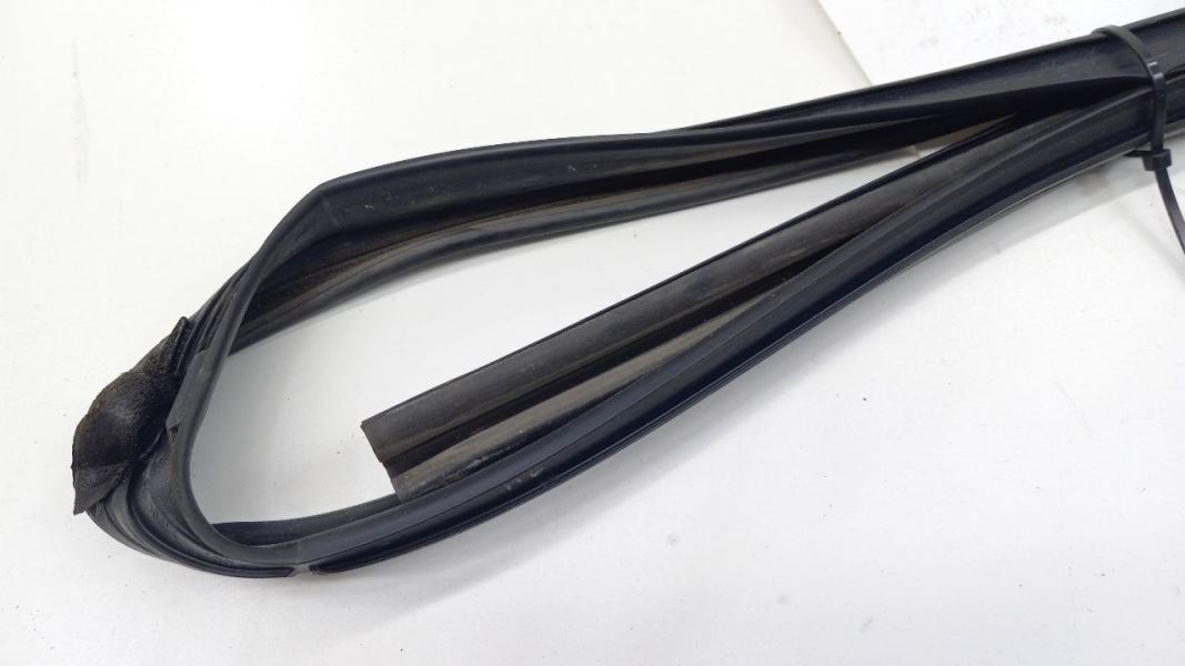 Accord Door Glass Window Seal Rubber Left Driver Rear Back 2008 2009 2010 2011