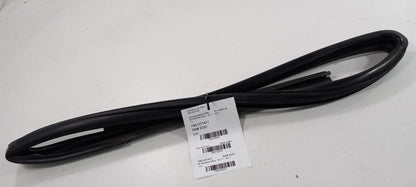 Santa Fe Door Glass Window Seal Rubber Right Passenger Front 2010 2011 2012