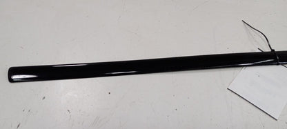 Volkswagen Jetta Door Molding Trim Strip Left Driver Front 2003 2002 2001 2000