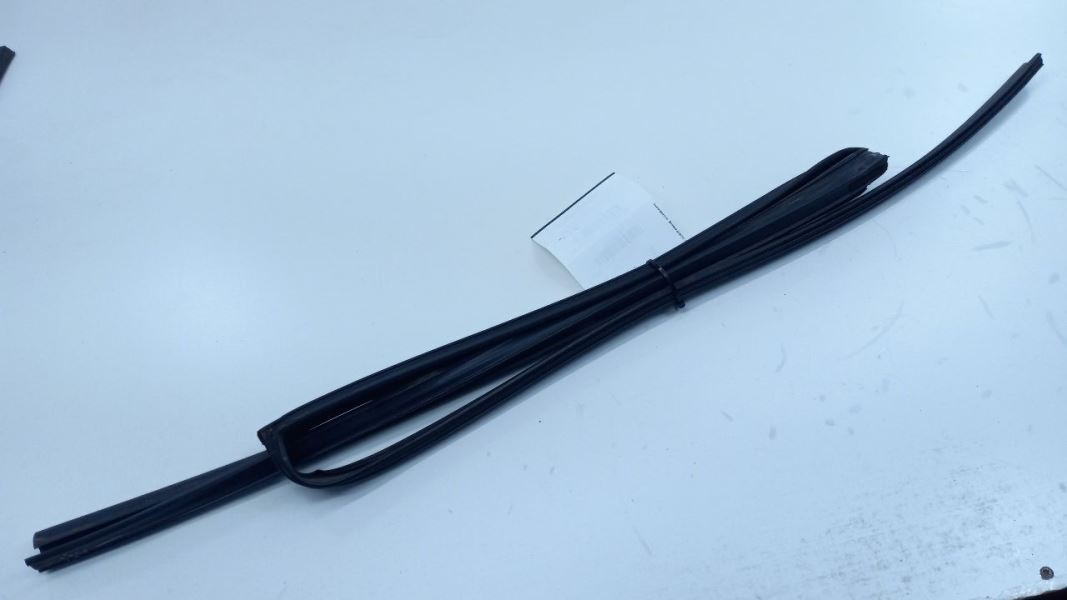 Versa Door Glass Window Seal Rubber Right Passenger Rear Back 2008 2009 2010 11