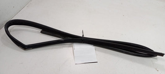 Hyundai Elantra Door Glass Window Seal Rubber Right Passenger Front 2009 2010 12