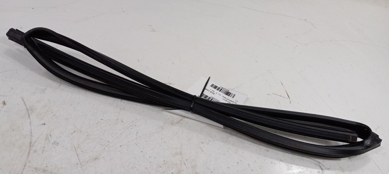 Toyota Corolla Door Glass Window Seal Rubber Left Driver Rear Back 2011 2012 13