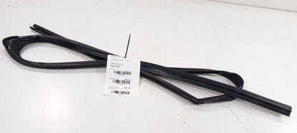 Acura TSX Door Glass Window Seal Rubber Right Passenger Front 2014 2013 2012 11