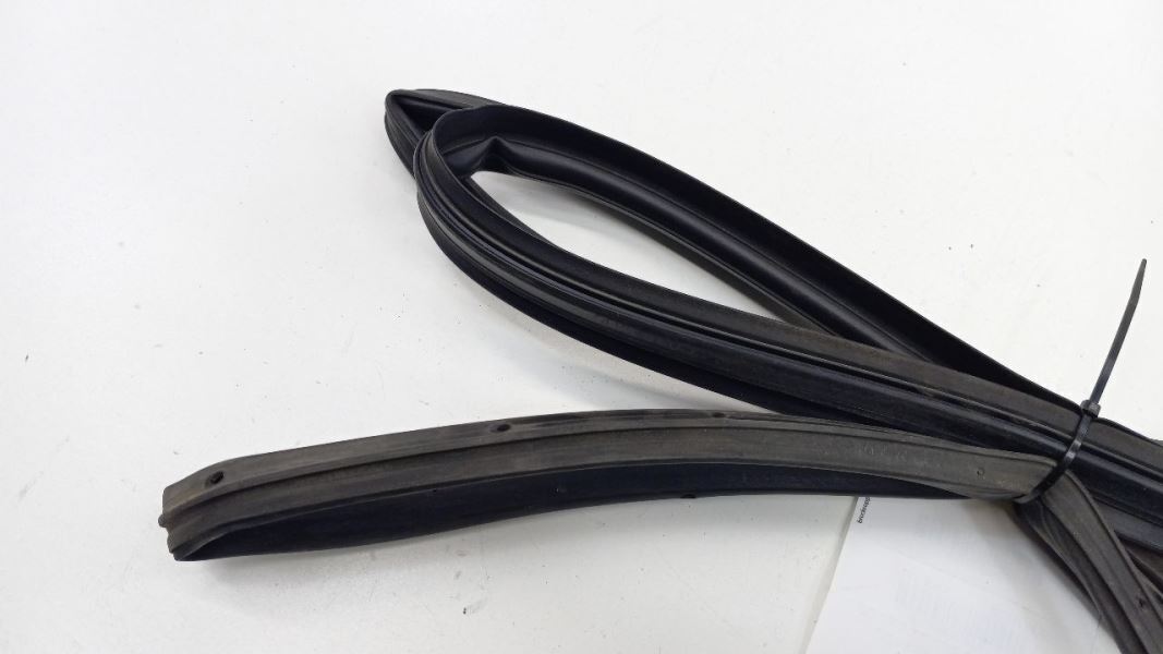 Civic On Door Seal Rubber Right Passenger Front 2006 2007 2008 2009 2010