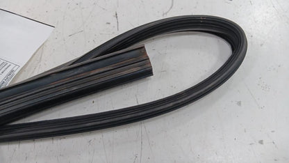 Hyundai Elantra Door Glass Window Seal Rubber Left Driver Front  2011 2012 2013