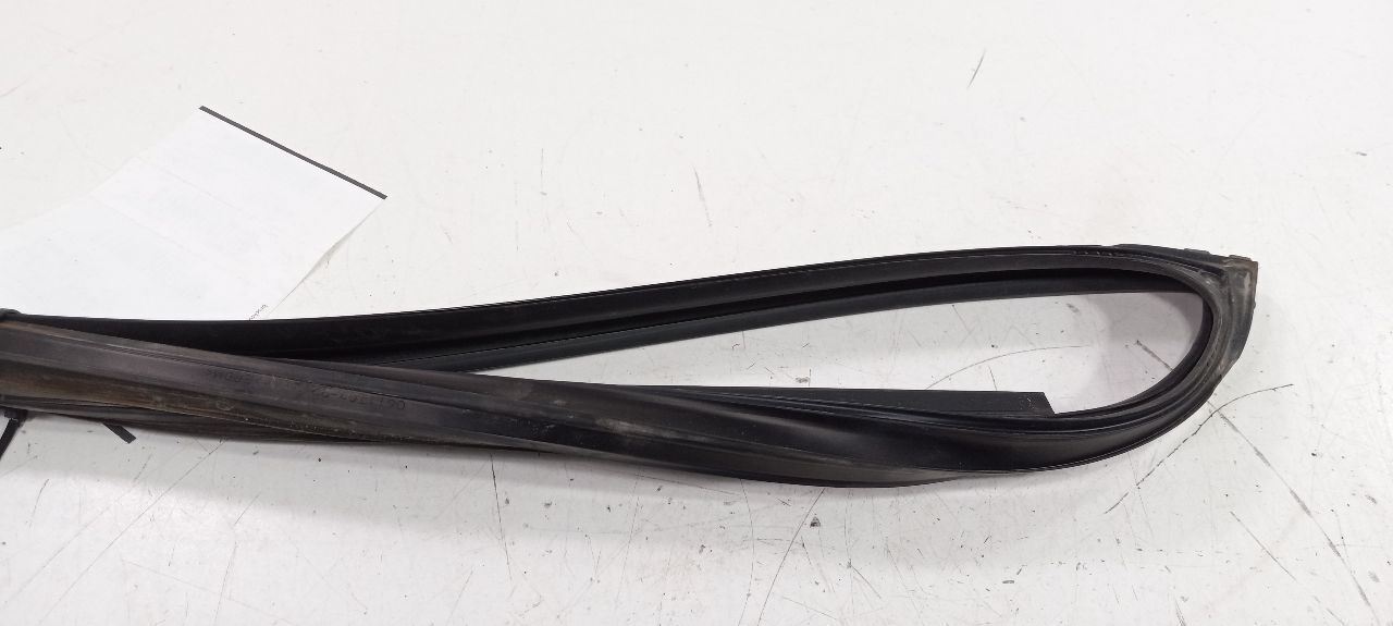 Toyota Camry Door Glass Window Seal Rubber Right Passenger Front 2007 2008 2009