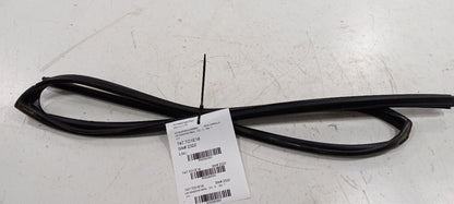 Toyota Corolla Door Glass Window Seal Rubber Left Driver Rear Back 2019 2018 17