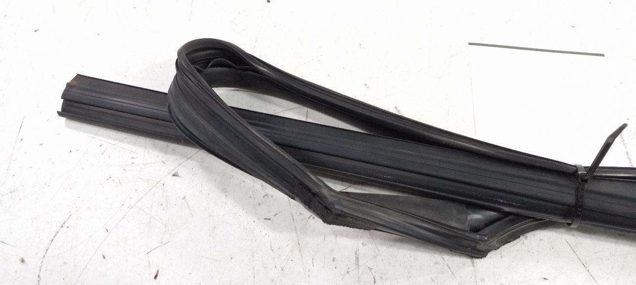 Hyundai Sonata Door Glass Window Seal Rubber Right Passenger Rear Back 2011 2012