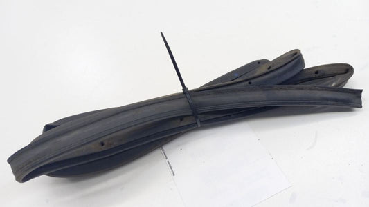 Sentra On Door Seal Rubber Right Passenger Front 2006 2005 2004 2003 2002