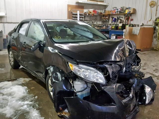 Strut Rear Back Fits 09-10 TOYOTA COROLLA