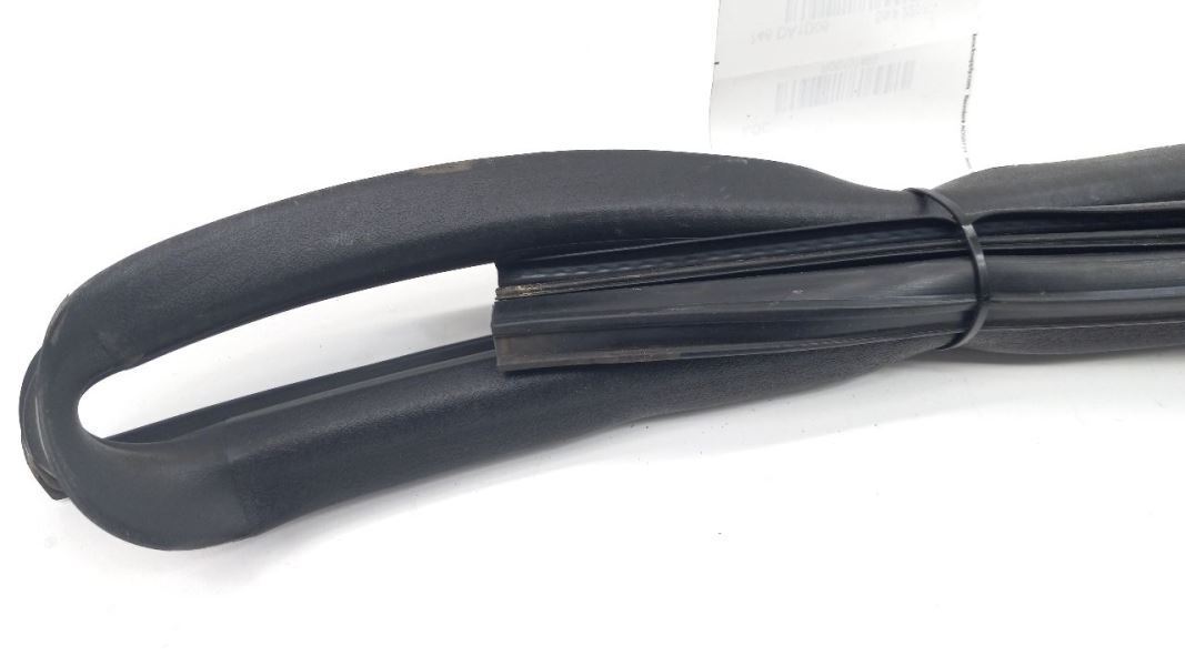 Sentra Door Glass Window Seal Rubber Right Passenger Rear Back 2006 2005 2004 03