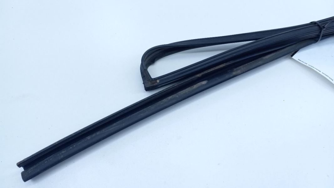 Versa Door Glass Window Seal Rubber Left Driver Rear Back 2008 2009 2010 2011 12