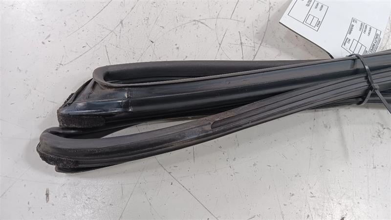 Hyundai Elantra Door Glass Window Seal Rubber Left Driver Front  2011 2012 2013