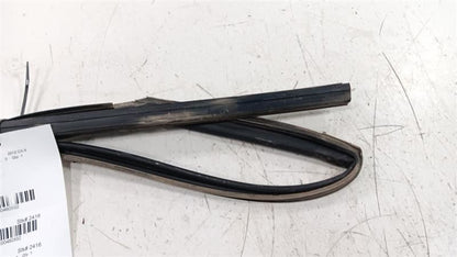 Mazda CX-9 Door Glass Window Seal Rubber Right Passenger Rear Back 201
