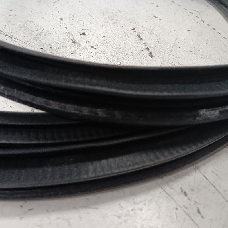 Nissan LEAF On Body Door Jamb Seal Gasket Front Left Driver  2013 2014 2015 2016