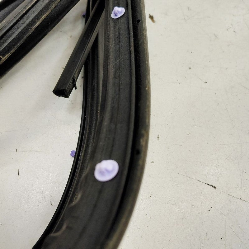 Nissan Versa On Door Seal Rubber Left Driver Rear Back  2024 2023 2022