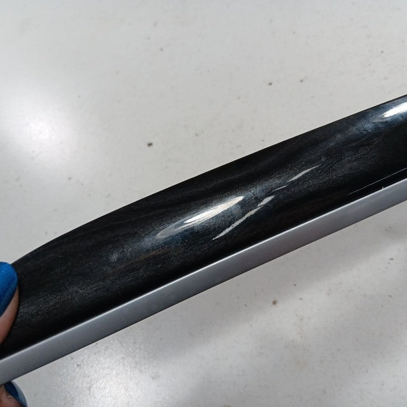Chrysler 300 Right Side Door Trim {L0199732AB} 2015 2016 2017 2018 201