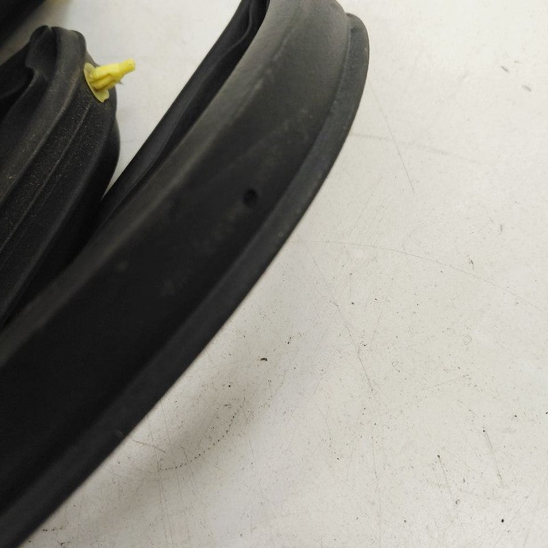 Nissan Rogue On Door Seal Rubber Right Passenger Rear Back  2017 2018 