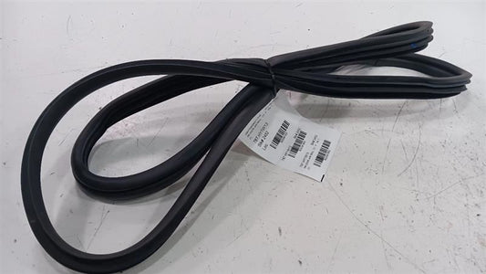 Hyundai Veloster On Body Door Jamb Seal Rear Right Passenger Back  201