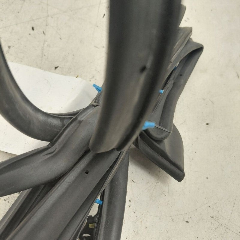 Toyota Prius On Door Seal Rubber Left Driver Front  2022 2021 2020