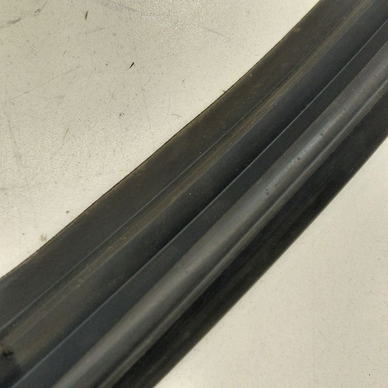 Volvo S60 Door Glass Window Seal Rubber Right Passenger Front  2018 20