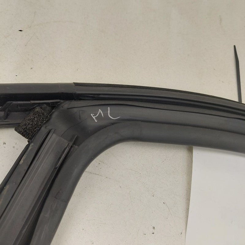 2018 Fiat 500 X Model Door Glass Window Seal Rubber Left Driver Rear B