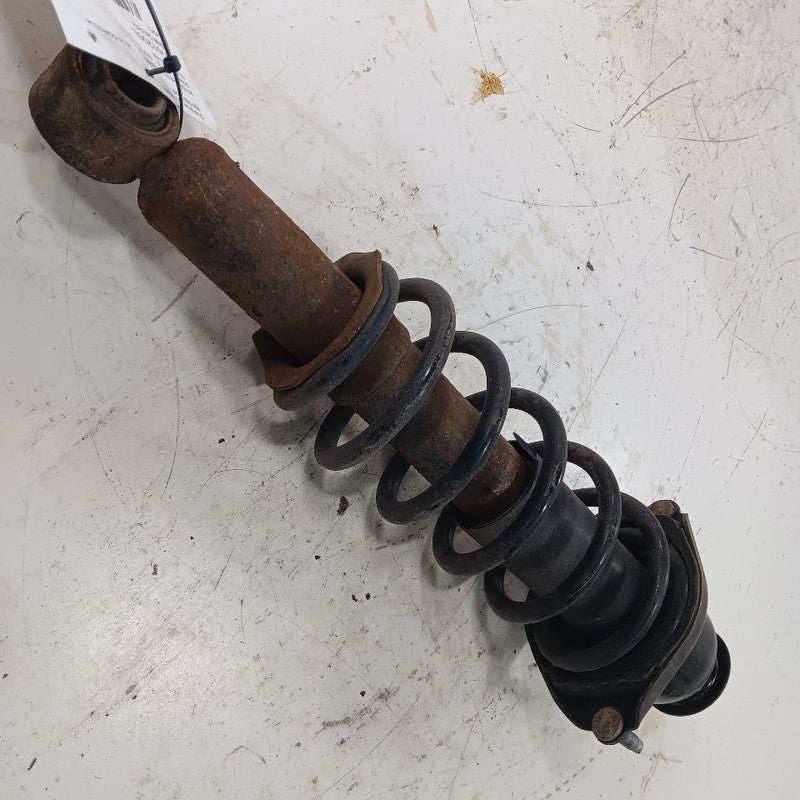 Left Rear Strut Sedan Fits 14-19 Toyota Corolla 