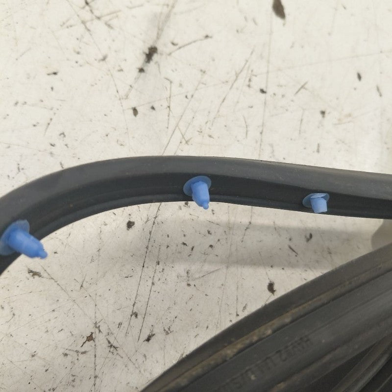 Kia Sorento On Door Seal Rubber Right Passenger Rear Back  2018 2017 2