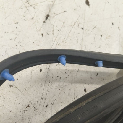 Kia Sorento On Door Seal Rubber Right Passenger Rear Back  2018 2017 2