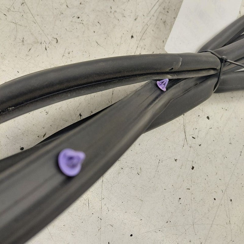 Chevy Volt On Door Seal Rubber Right Passenger Rear Back  2019 2018 20