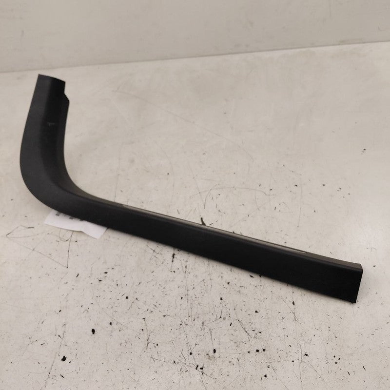 Cadillac CT6 Sill Trim Plate Door Jam Threshold Right Passenger Front 