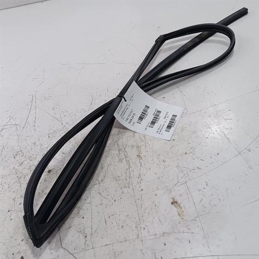 Toyota Rav 4 Door Glass Window Seal Rubber Right Passenger Front  2015 2016 2017
