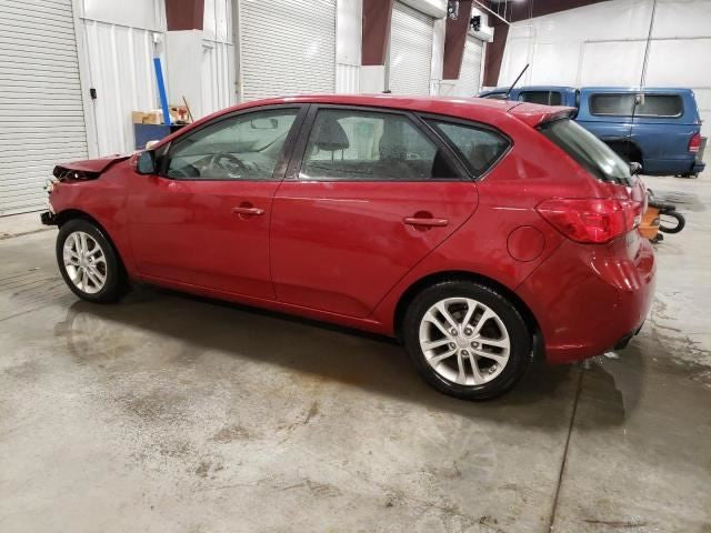 Kia Forte Door Glass Window Weather Strip Trim Rear Right Passenger Si