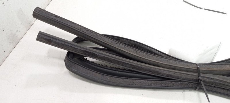 Volkswagen Rabbit On Door Seal Rubber Right Passenger Rear Back 2006 2
