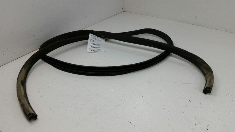 Chevy Malibu On Body Door Jamb Seal Gasket Rear Left Back 2006 2007 2008 OEM