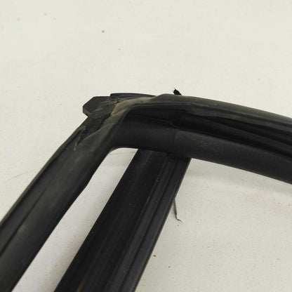 Nissan Rogue Door Glass Window Seal Rubber Left Driver Front  2017 201