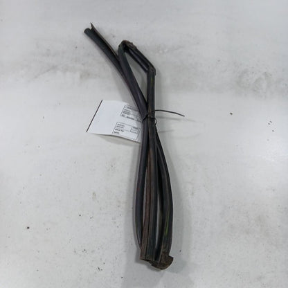 Honda Civic Door Glass Window Seal Rubber Left Driver Rear Back  2018 