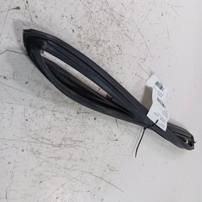 Nissan Maxima Door Glass Window Seal Rubber Right Passenger Rear Back 