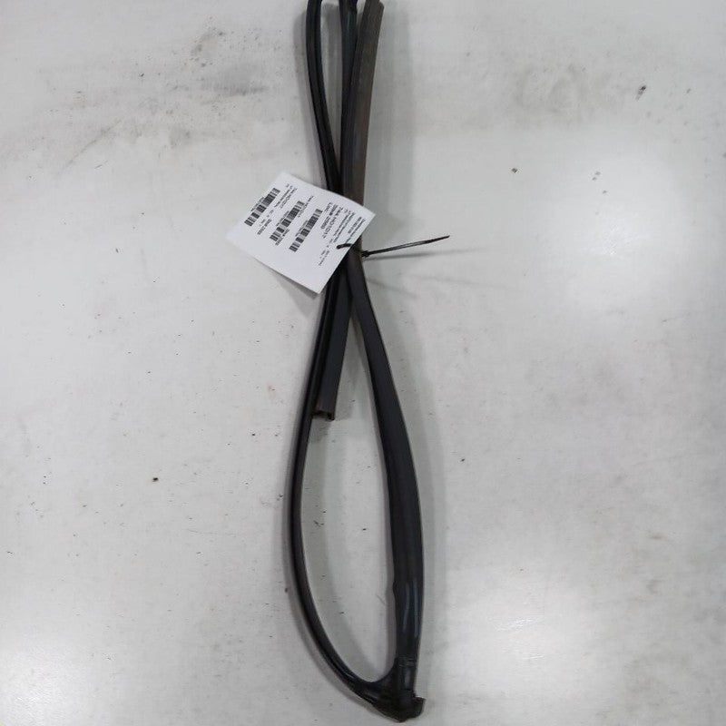 Honda Civic Door Glass Window Seal Rubber Left Driver Front  2018 2017 2016