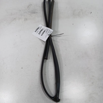 Honda Civic Door Glass Window Seal Rubber Left Driver Front  2018 2017 2016