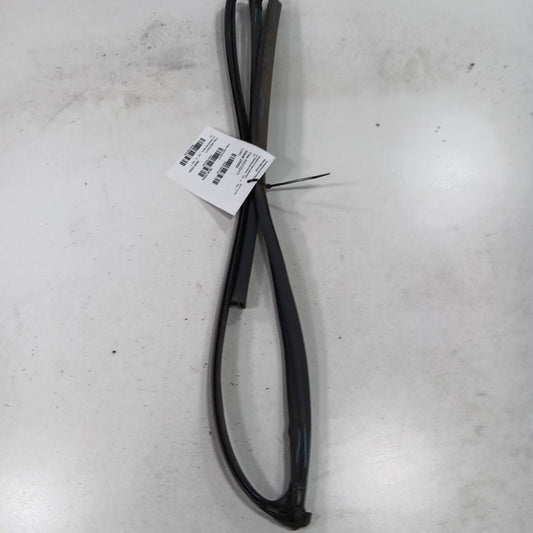Honda Civic Door Glass Window Seal Rubber Left Driver Front  2018 2017 2016
