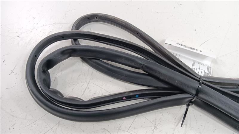 Buick Lacrosse On Door Seal Rubber Right Passenger Rear Back 2013 2014